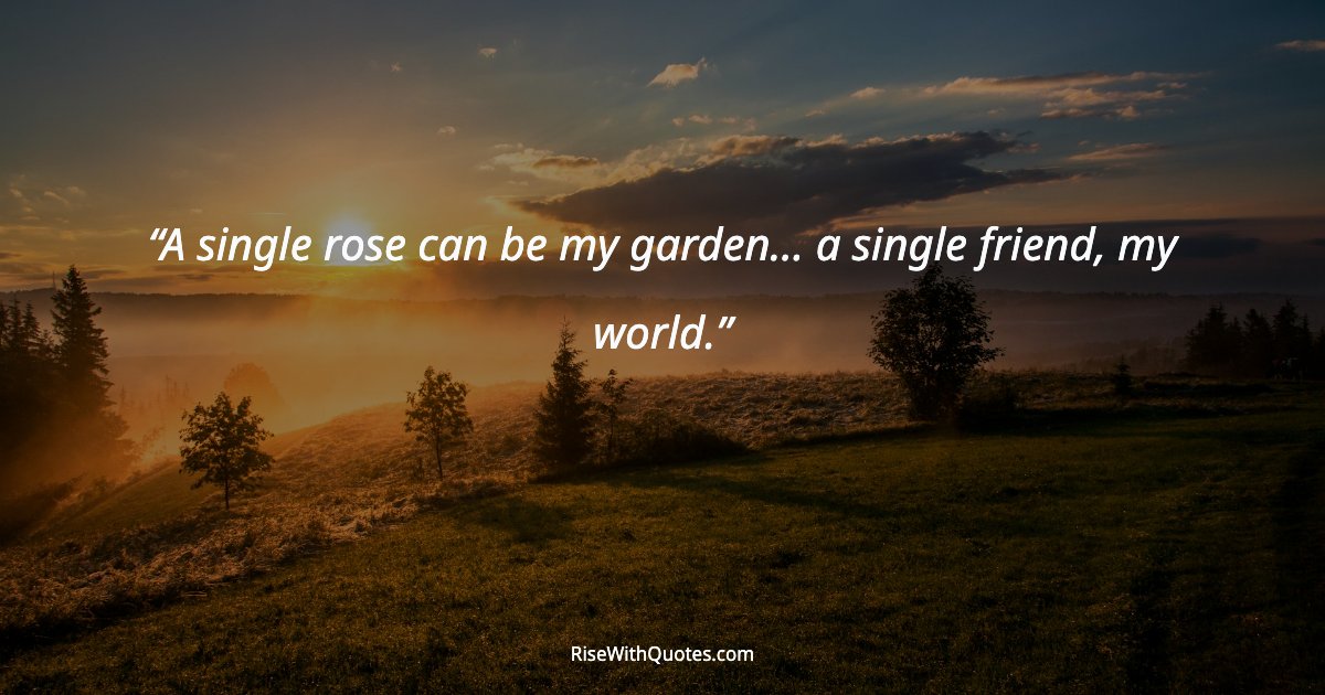 A single rose can be my garden... a single friend, my world.