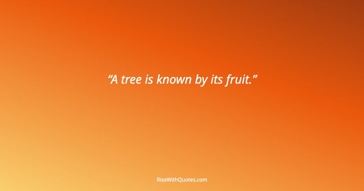 A tree is known by its fruit.