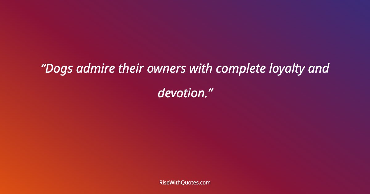 Dogs admire their owners with complete loyalty and devotion.