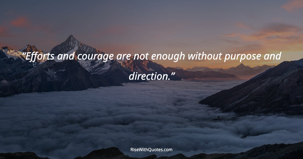 Efforts and courage are not enough without purpose and direction.