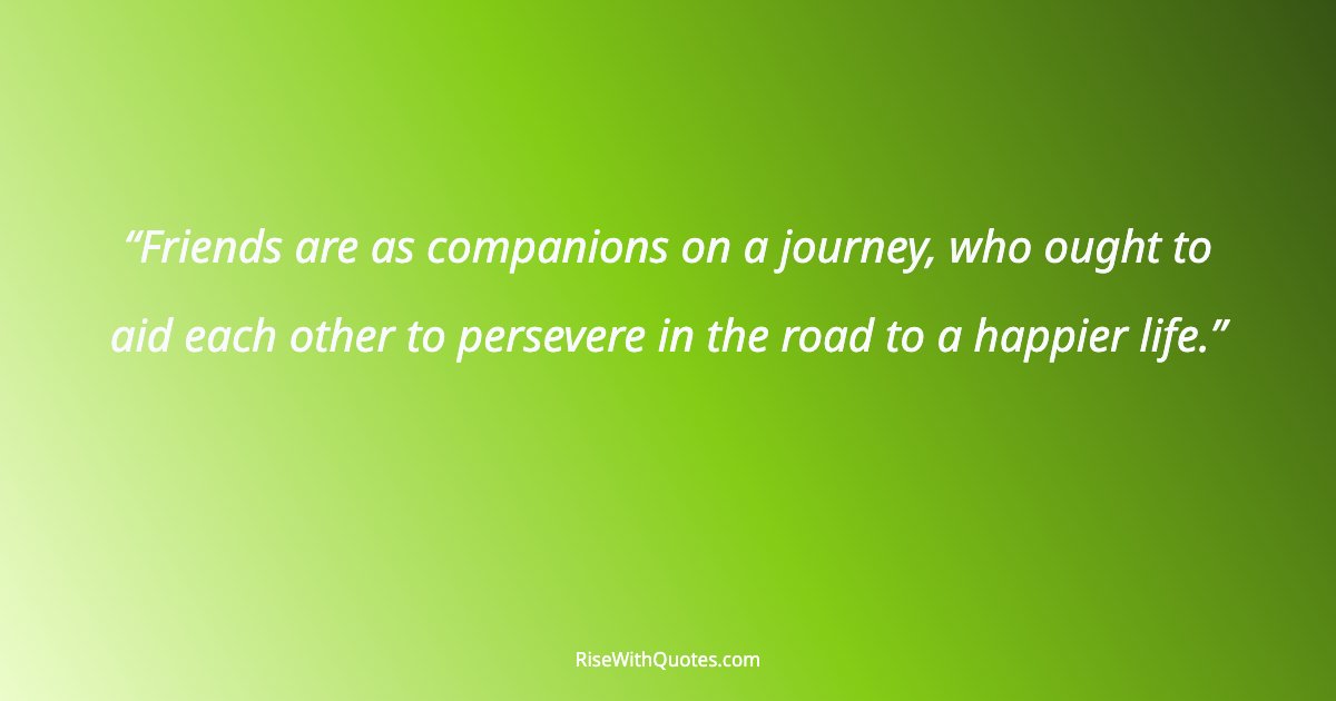 Friends are as companions on a journey, who ought to aid each other to persevere in the road to a happier life.
