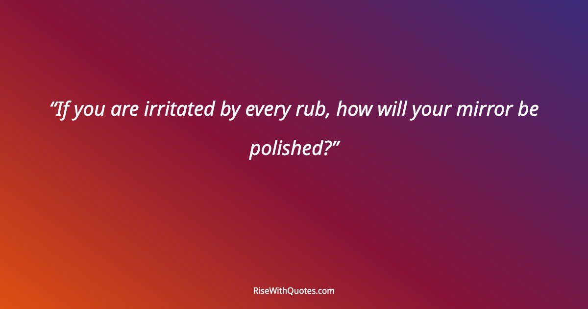 If you are irritated by every rub, how will your mirror be polished?