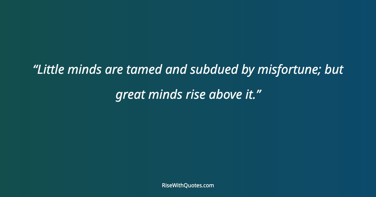 Little minds are tamed and subdued by misfortune; but great minds rise above it.