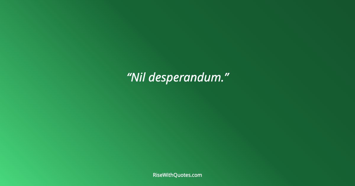 Nil desperandum.