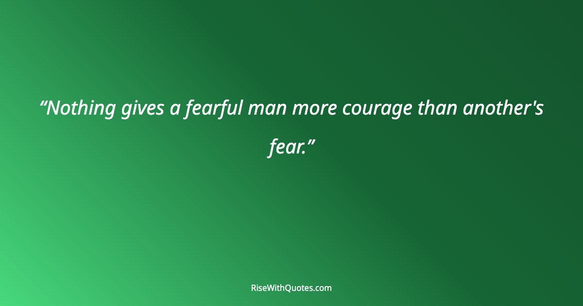 Nothing gives a fearful man more courage than another's fear.