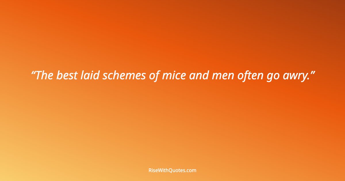 The best laid schemes of mice and men often go awry.