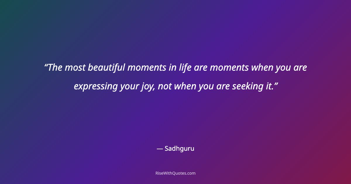 The most beautiful moments in life are moments when you are expressing your joy, not when you are seeking it.