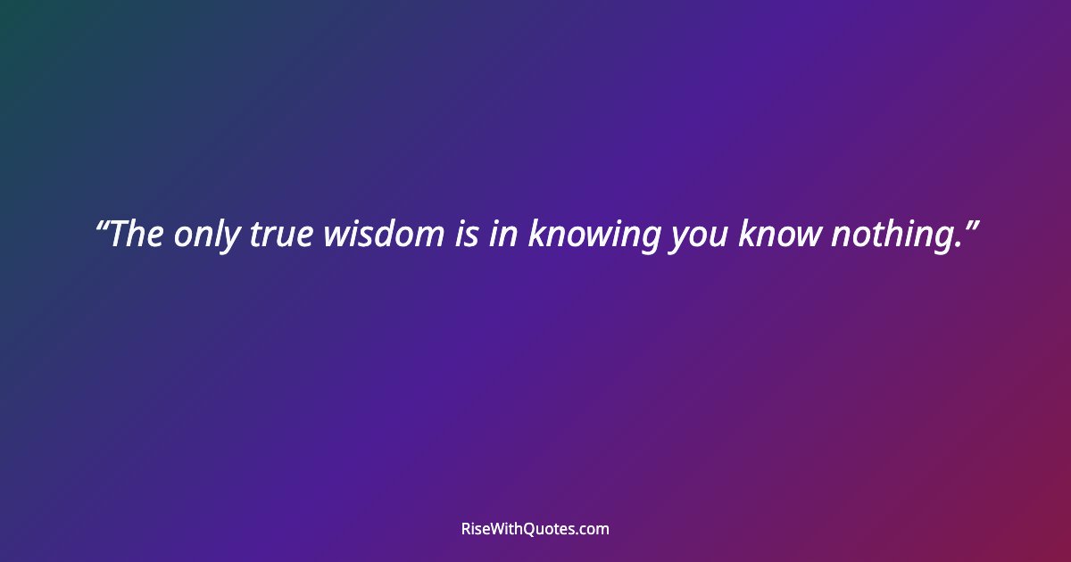 The only true wisdom is in knowing you know nothing.
