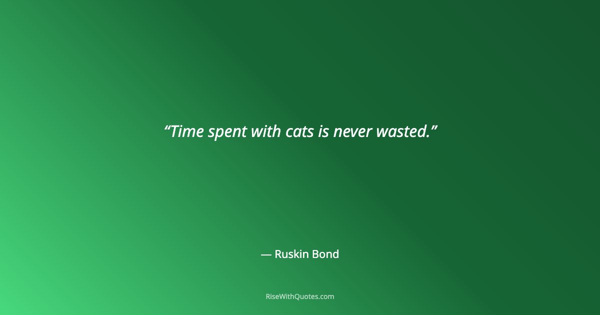 Time spent with cats is never wasted.