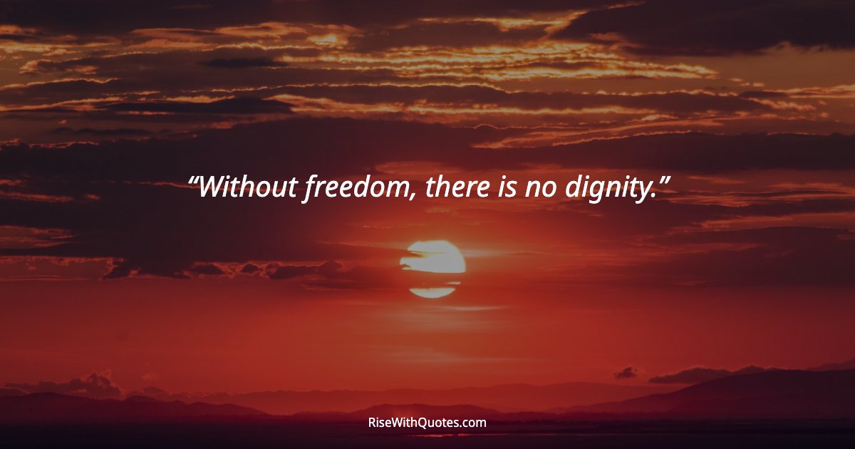 Without freedom, there is no dignity.