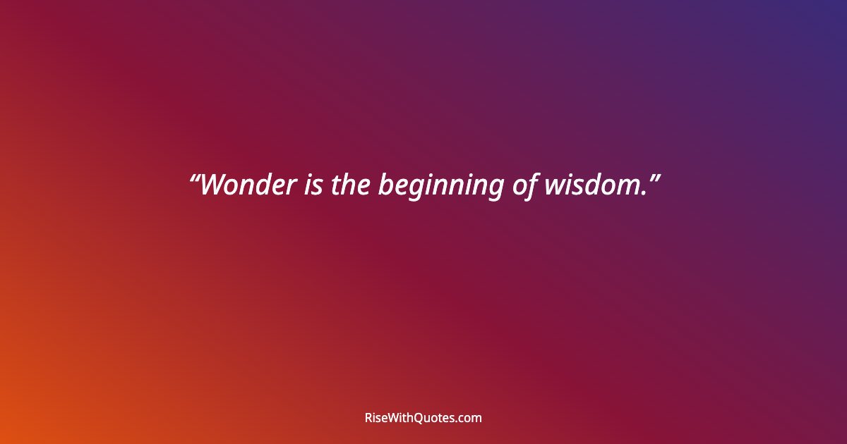 Wonder is the beginning of wisdom.