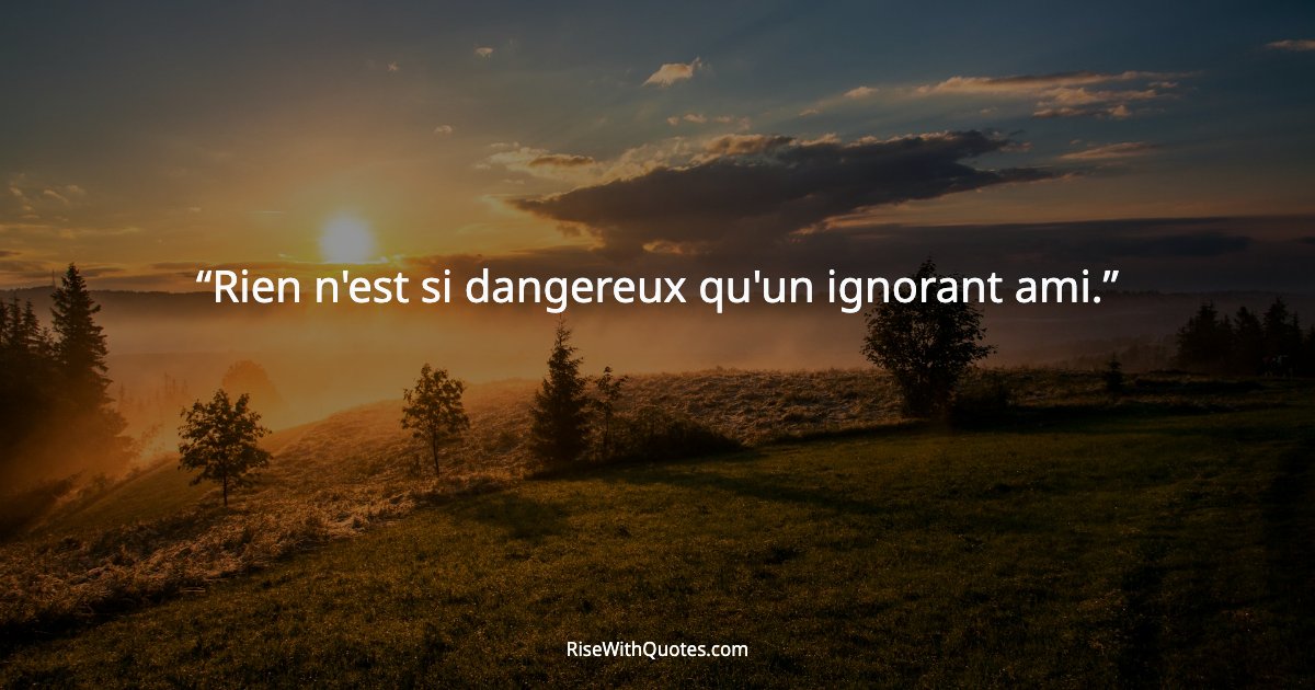 Rien n'est si dangereux qu'un ignorant ami.